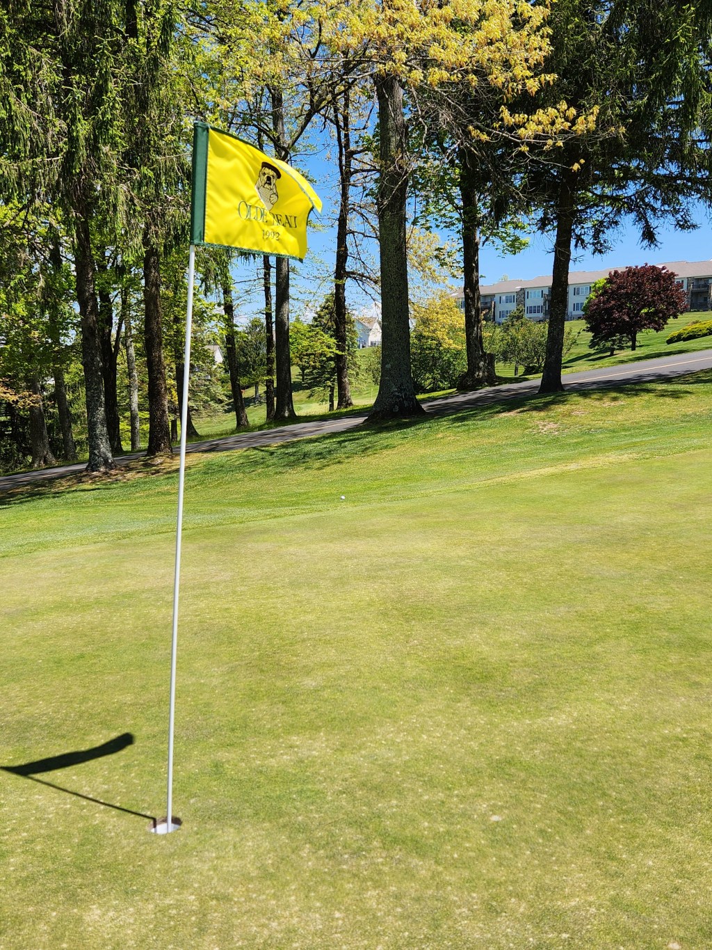 The Match That Never&nbsp;Was